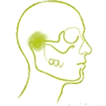 口腔顔面痛