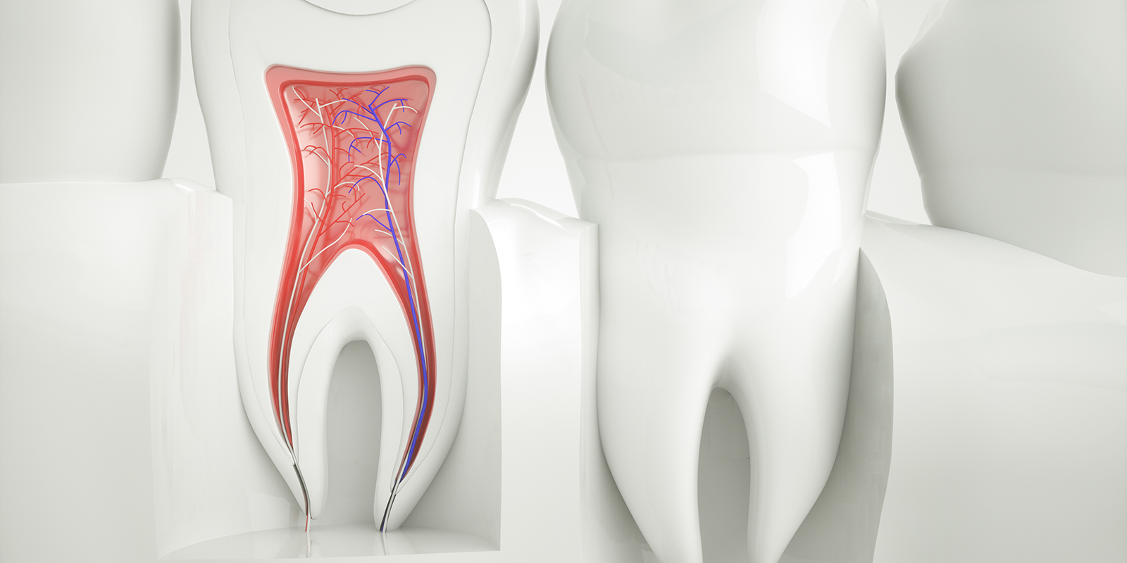ご自身の歯を残すための「根管」を守り抜く